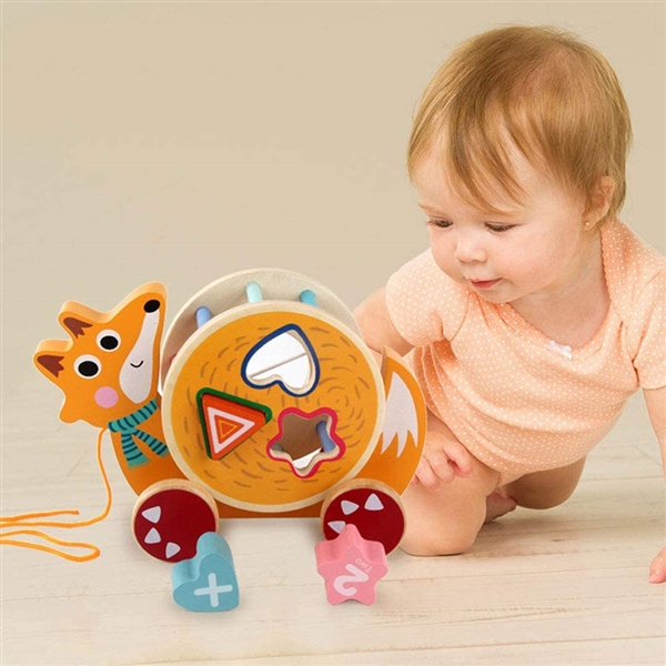 Pull Toys for Toddlers Wooden Pull Along Toys 