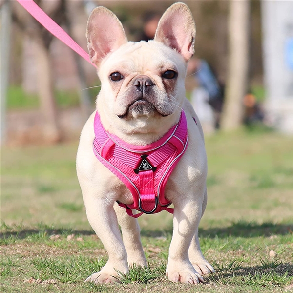 Pet Adjustable Reflective Vest RC Pets Harnesses Big Size Dog Seat Belt Pet Harnesses Kibtoy