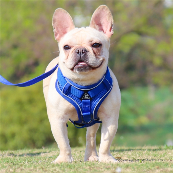 Pet Adjustable Reflective Vest RC Pets Harnesses Big Size Dog Seat Belt Pet Harnesses Kibtoy