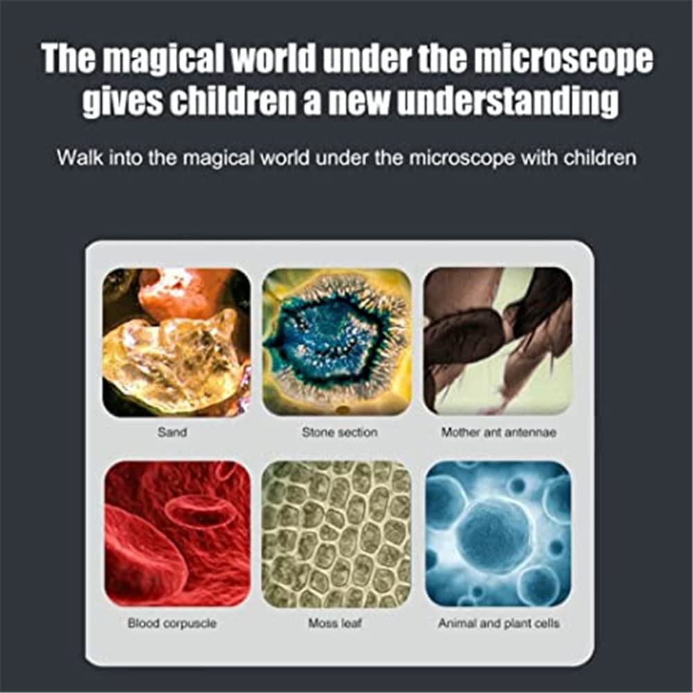 kibtoy Portable Microscope for Kids