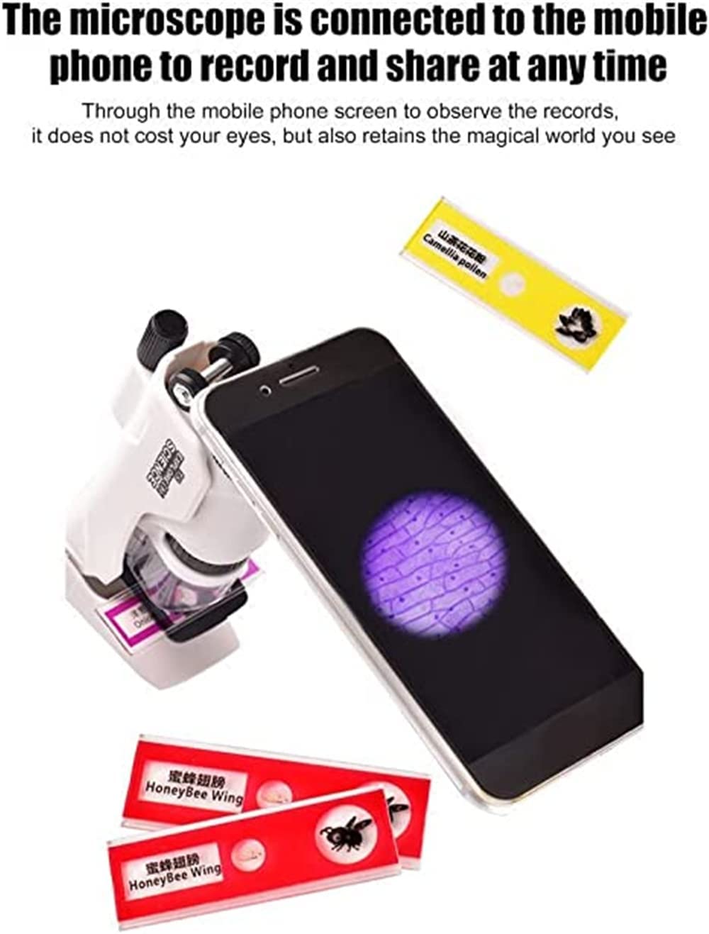 kibtoy Portable Microscope for Kids