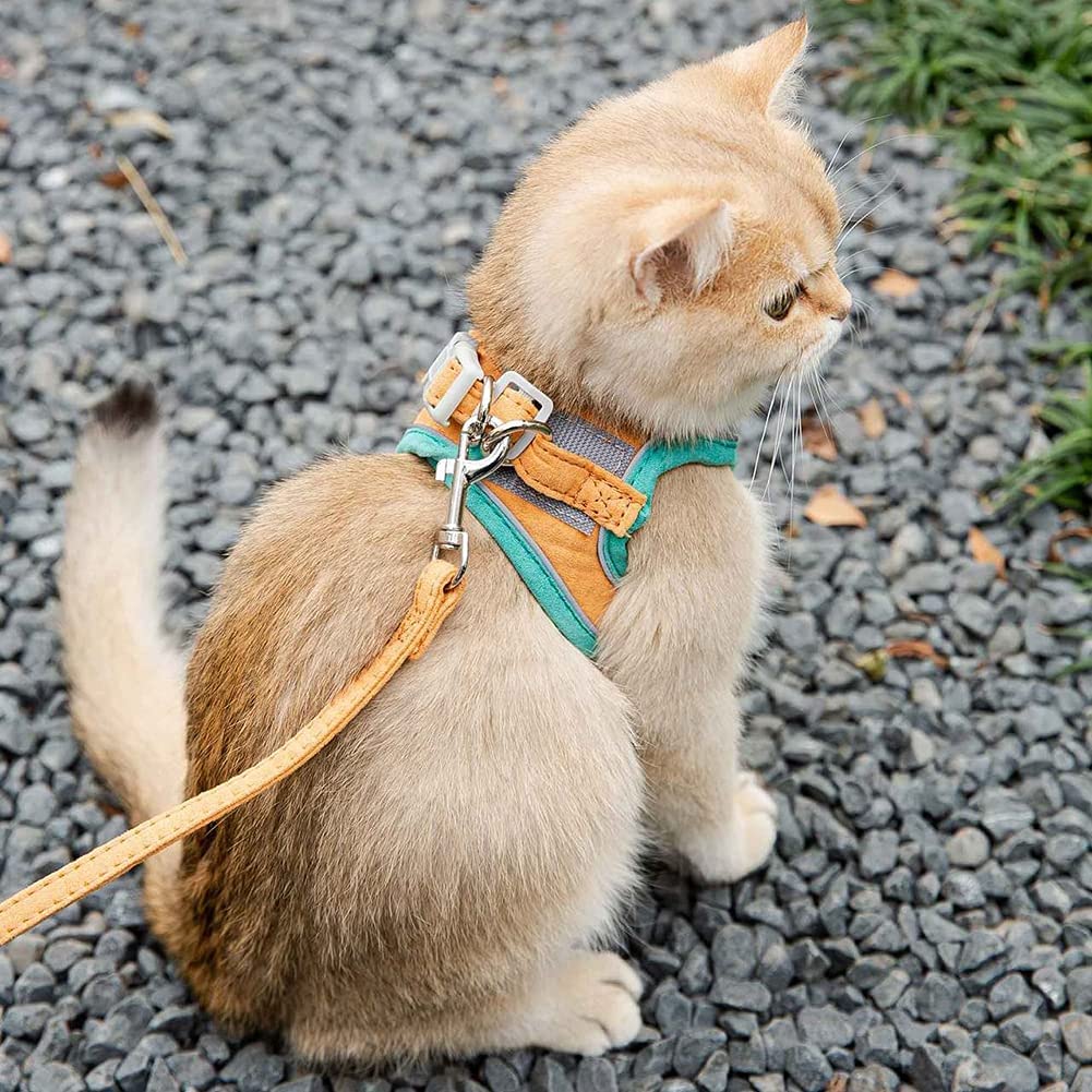 cute cat harness green