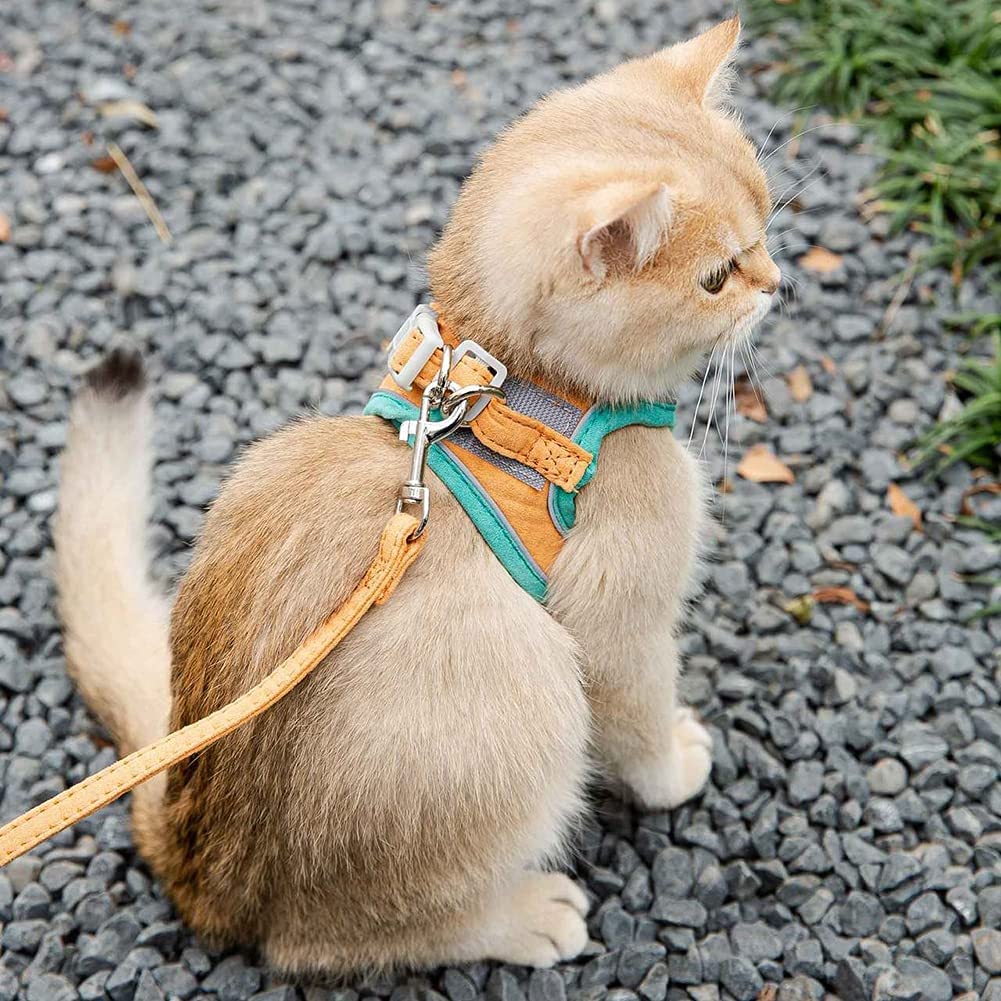 cute cat harness green cute cat harness green