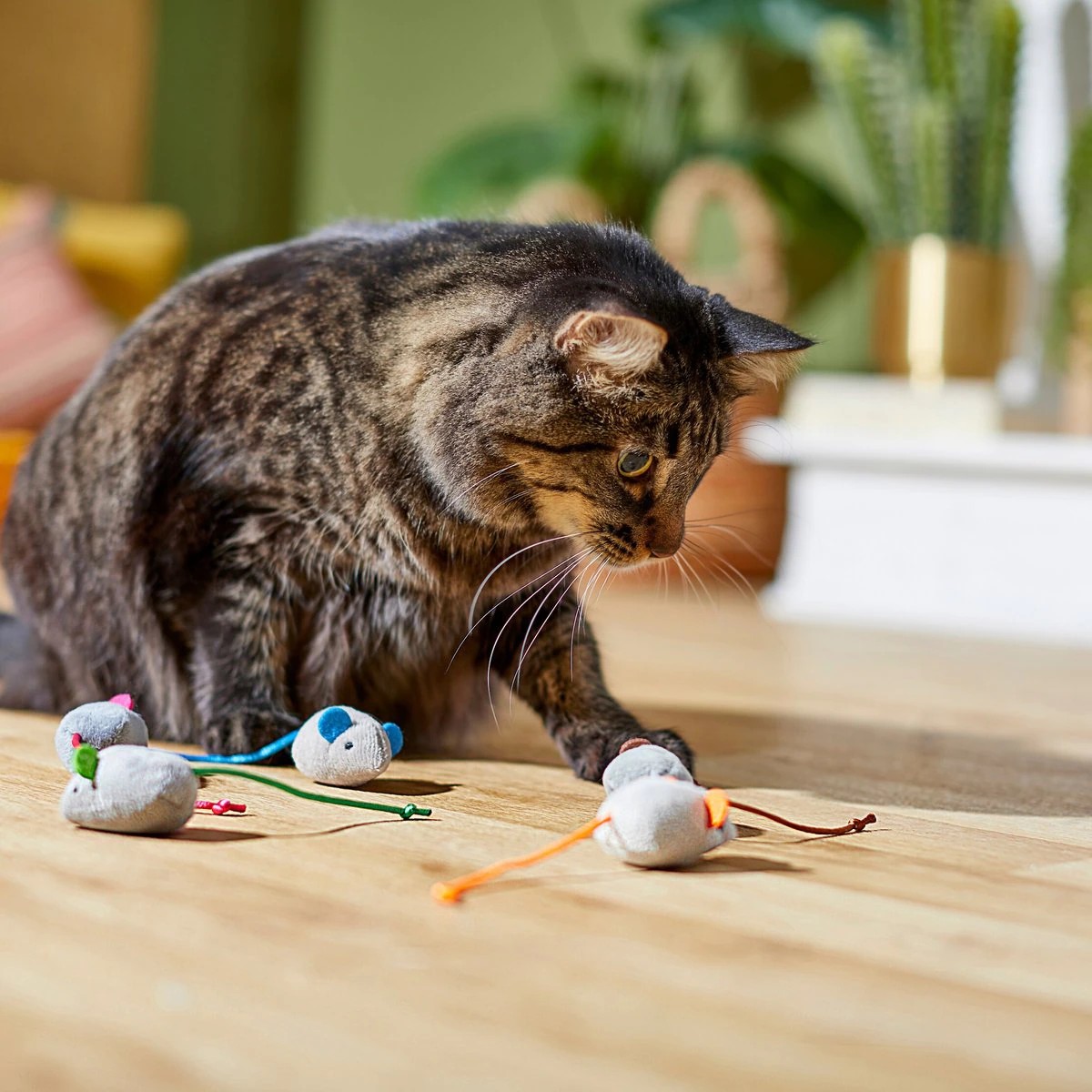 Frisco Basic Plush Mouse Cat Toy