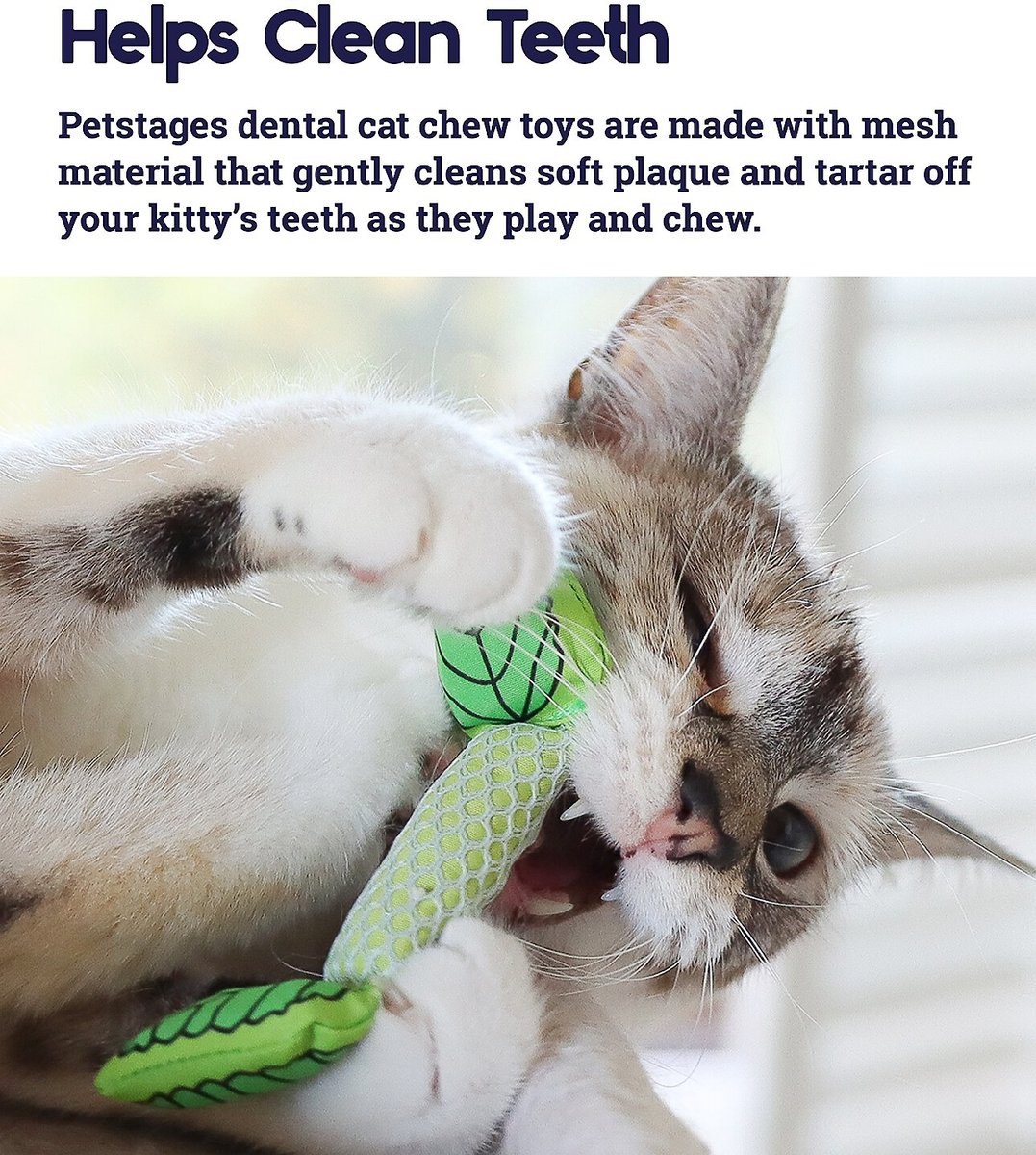 Petstages Fresh Breath Peppermint Stick Cat Chew Toy