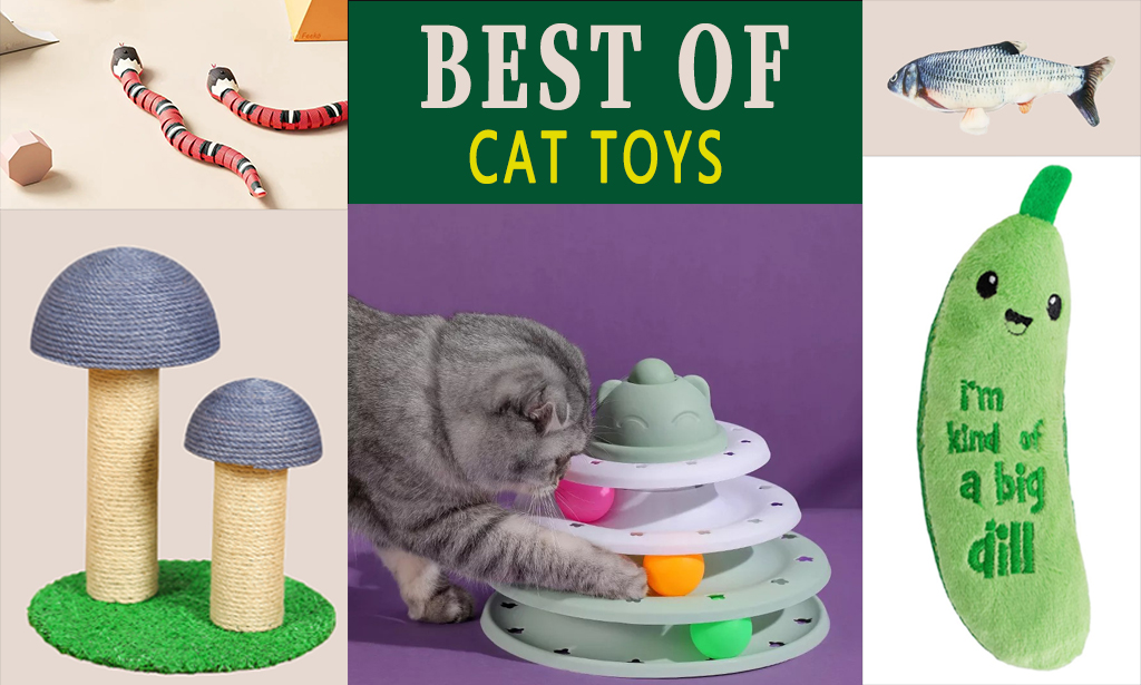 Best cat toys