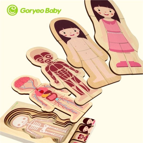 Goryeobaby Body Structure Puzzle Toy Wooden Boy Girl Montessori Educational Toys